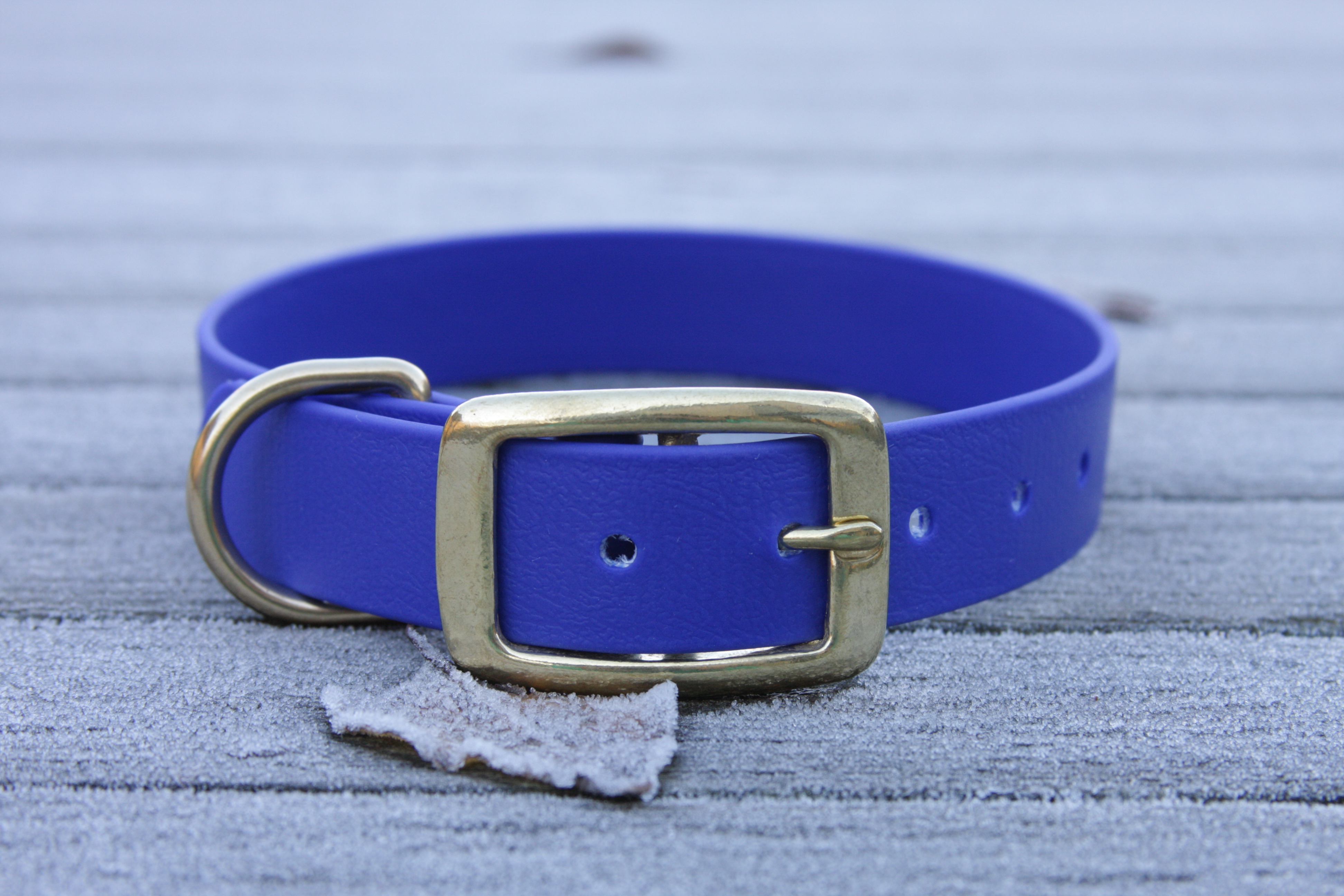 Biothane collar 25mm (buckle)