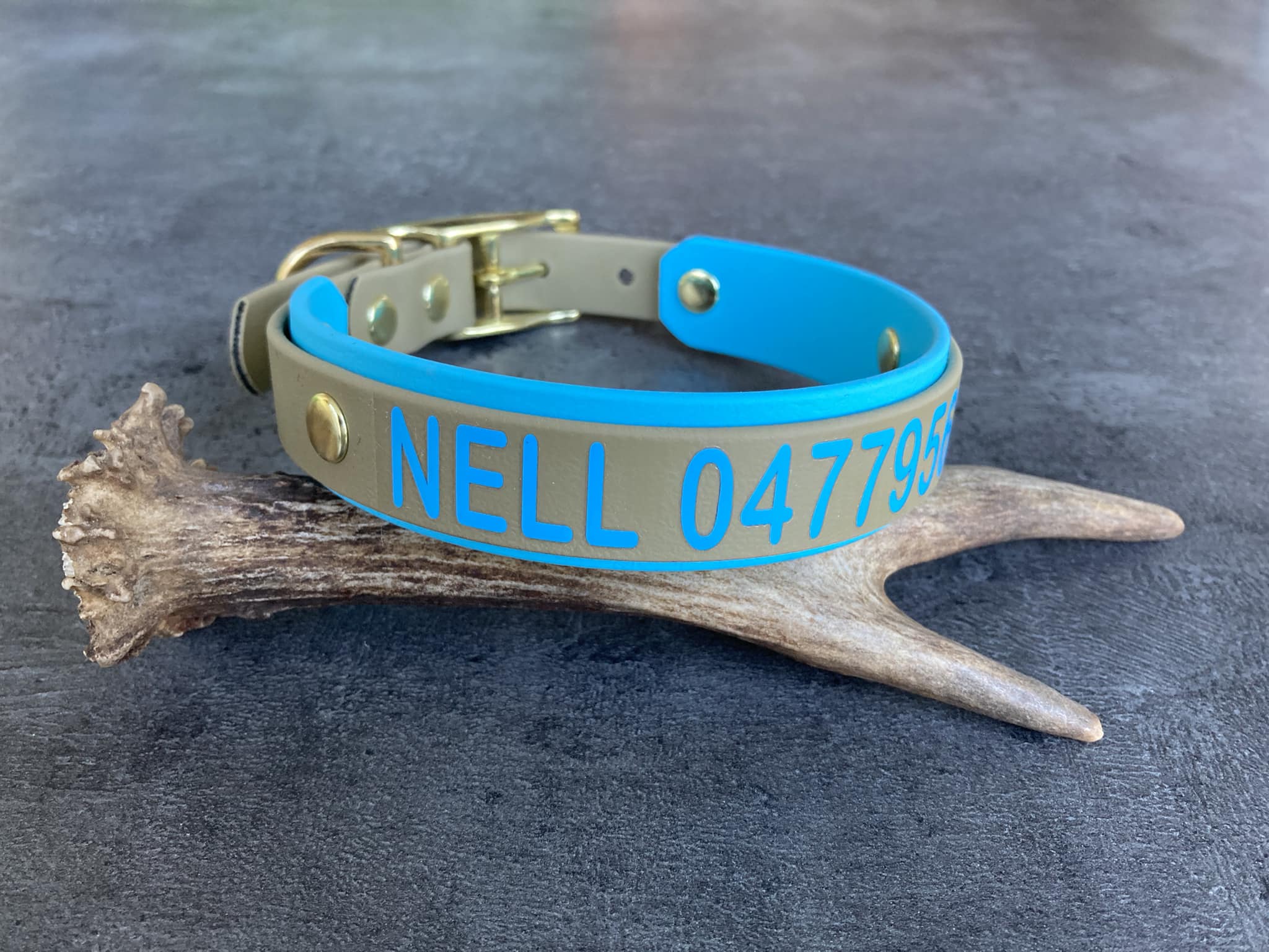 Collar+PRINT 19/25 "bicolor" (small buckle)
