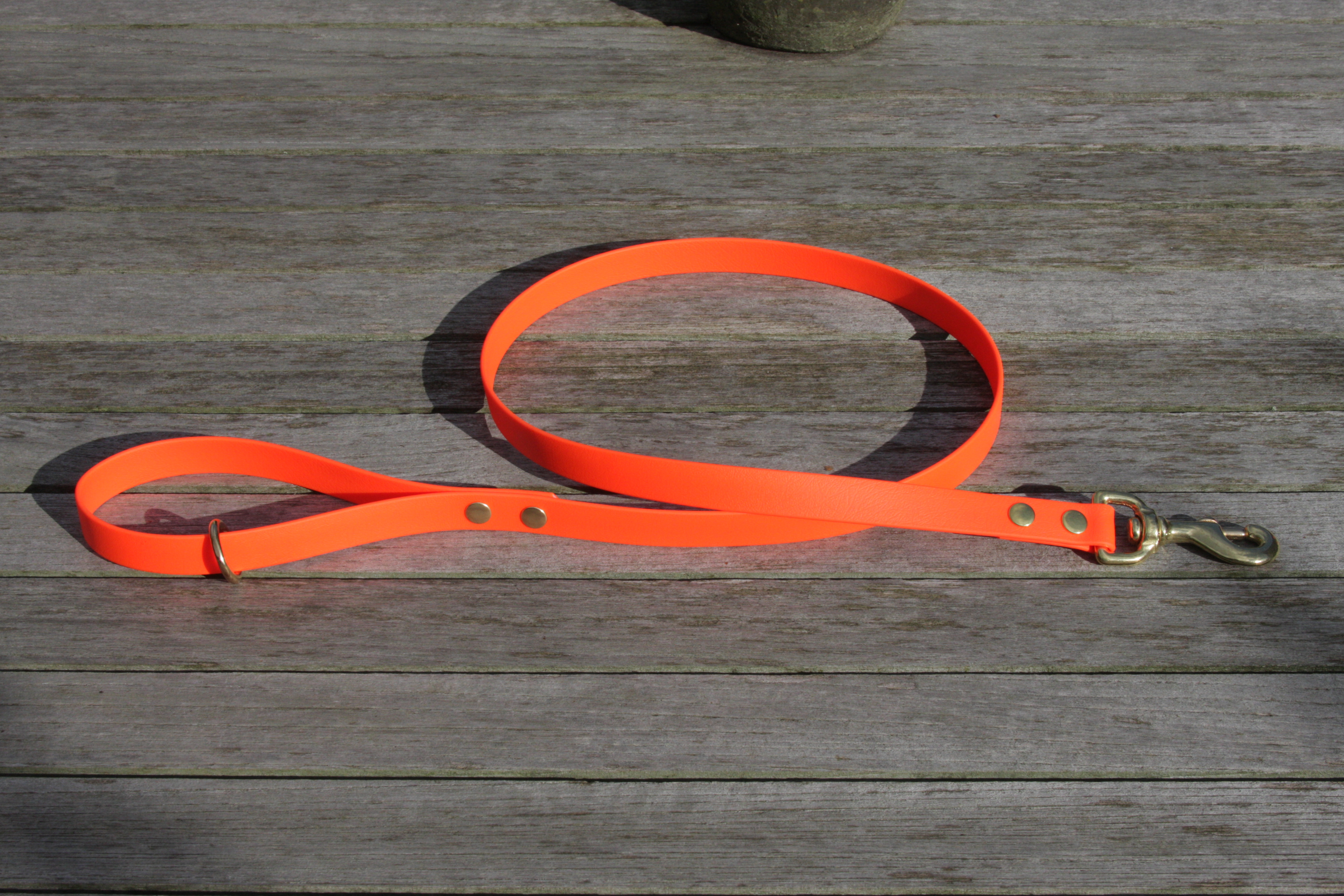 Biothane leash 19mm
