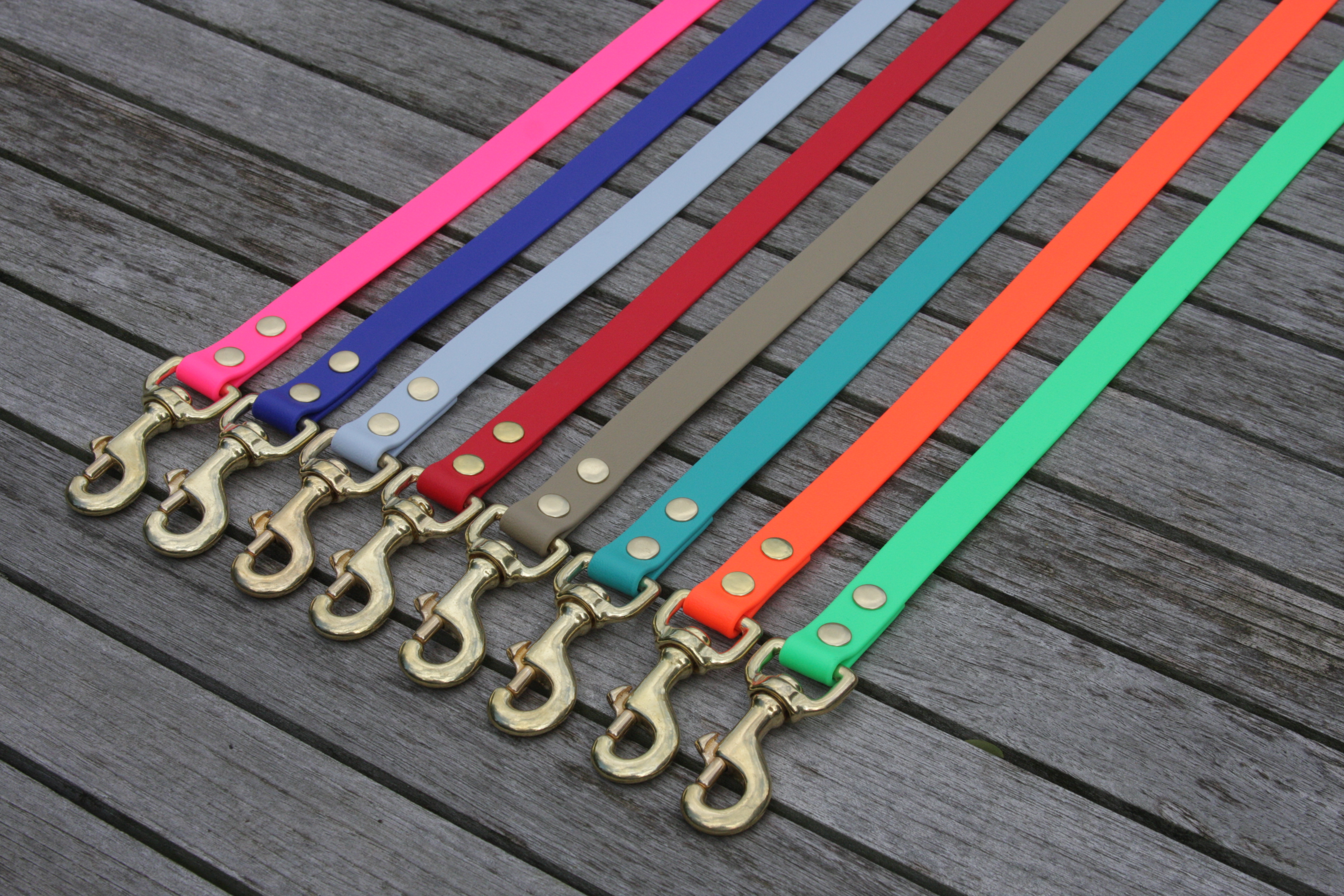 Biothane short leash 19mm