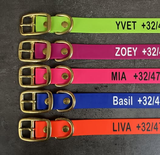 Biothane collar WITH PRINT, 19mm (buckle)