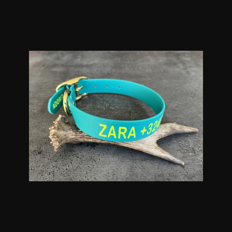 Biothane collar WITH PRINT, 25mm (buckle)