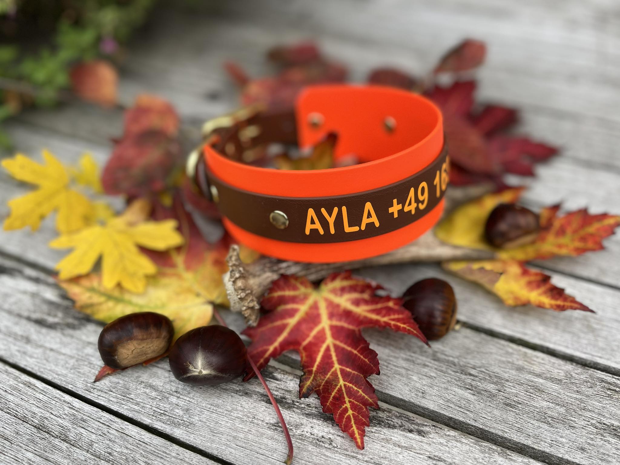 Biothane collar WITH PRINT 25/50mm "bicolor" (buckle)