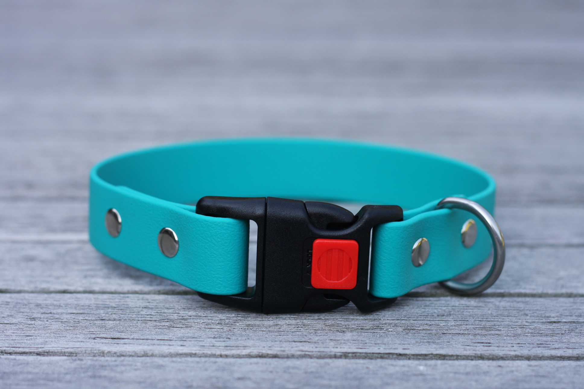 Biothane collar 19mm (clic black)