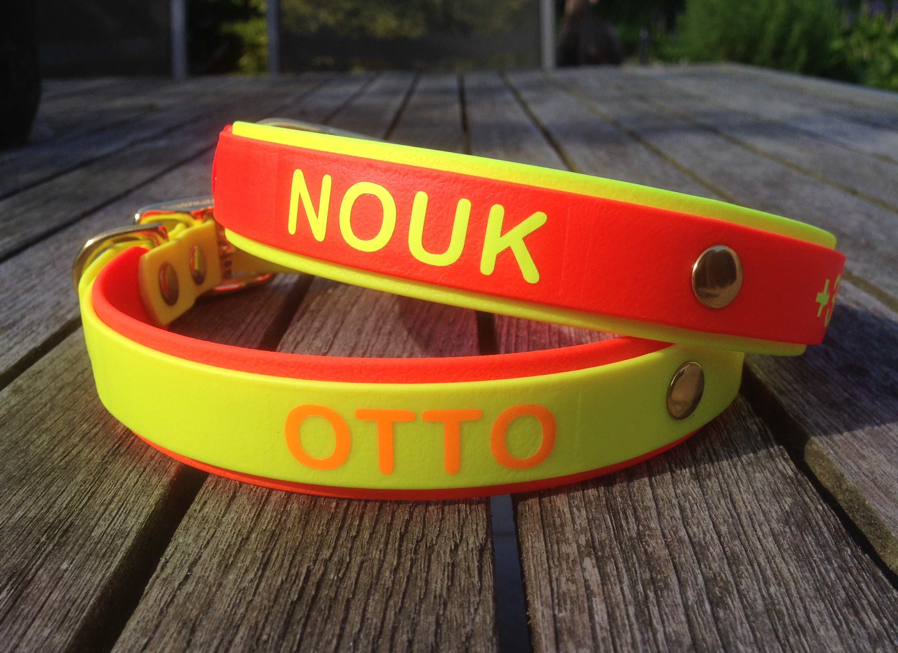 Biothane collar+PRINT 19/25 "bicolor" (buckle)