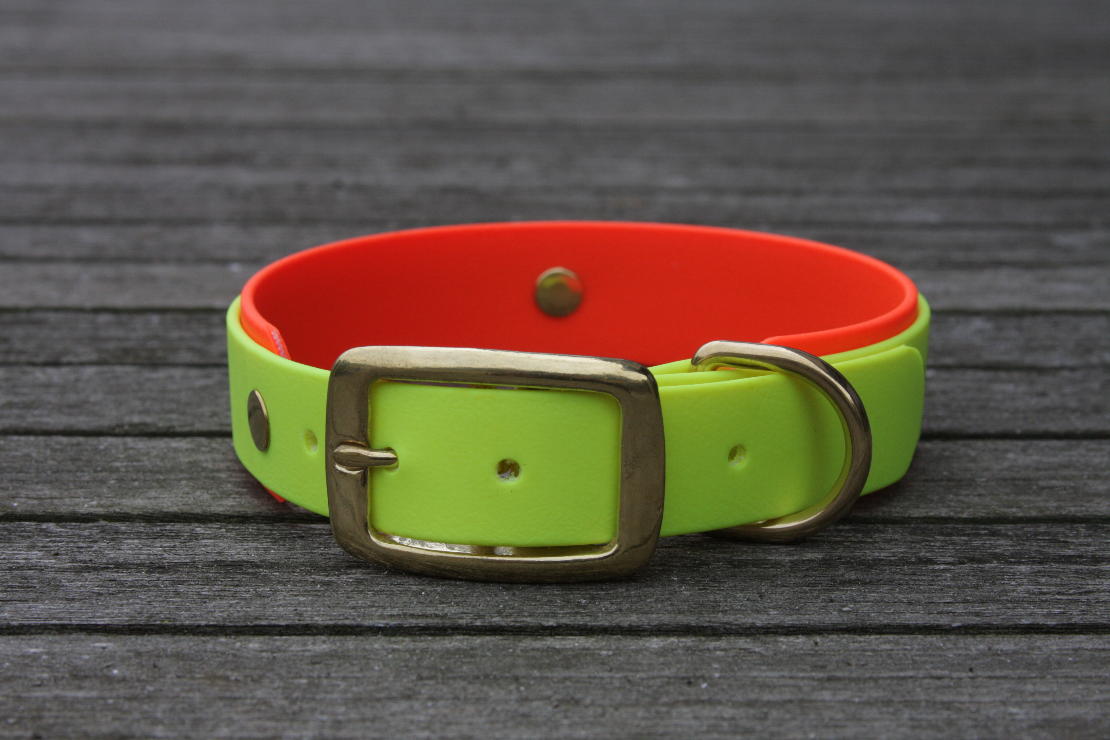 Biothane collar 19/25mm "bicolor" (buckle)