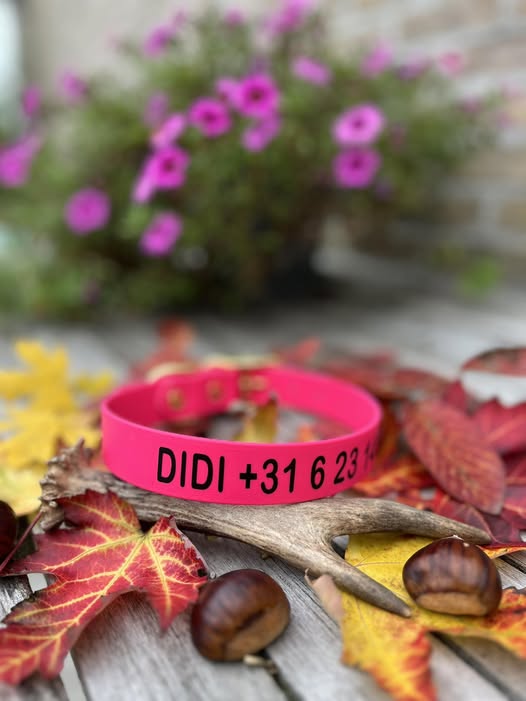 Biothane collar WITH PRINT, 19mm (buckle)
