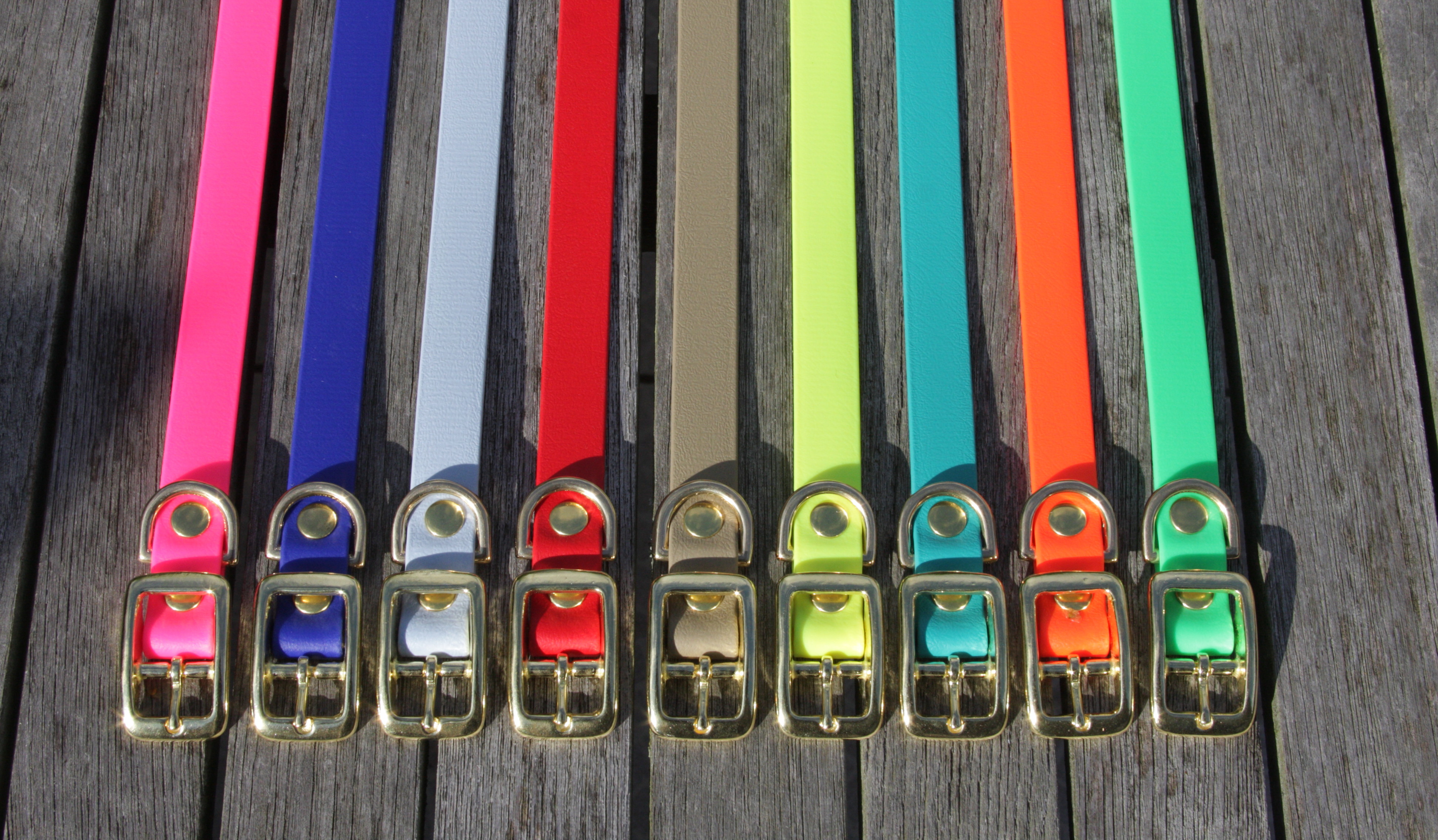 Biothane collar 19mm (buckle)