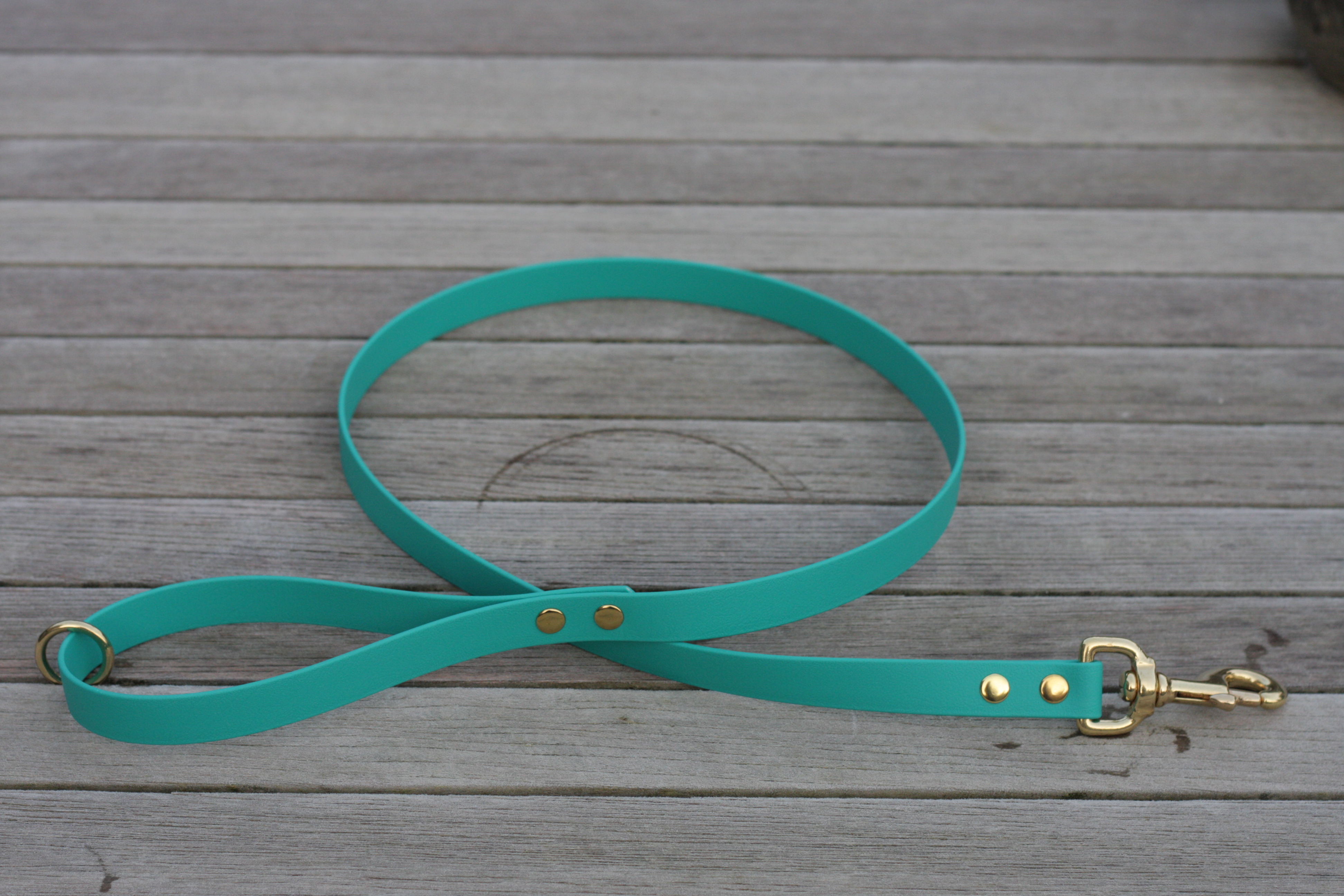 Biothane leash 19mm
